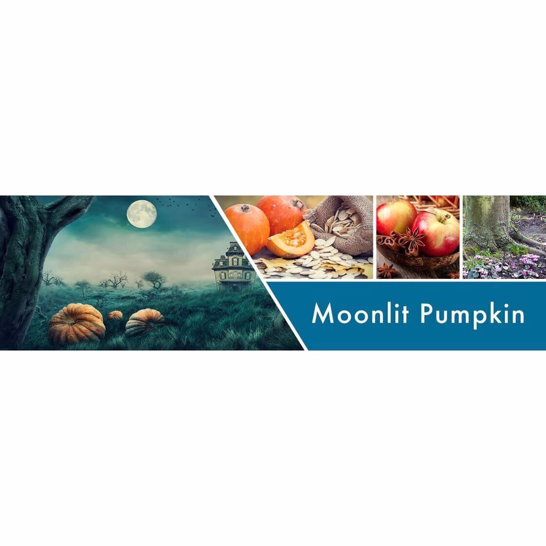 moonlit-pumpkin-halloween-collection-tumbler-453g-2 Moonlit Pumpkin 453g