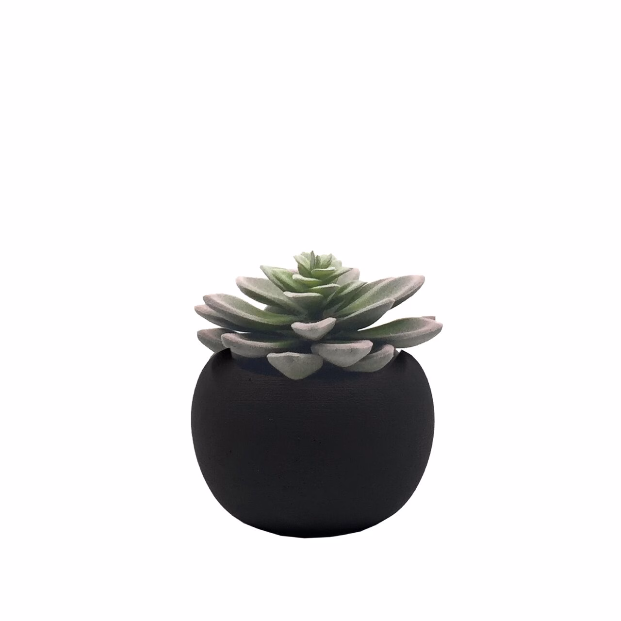 5d1RaIeBdLaOxX Deko Succulente 10cm Variante 5