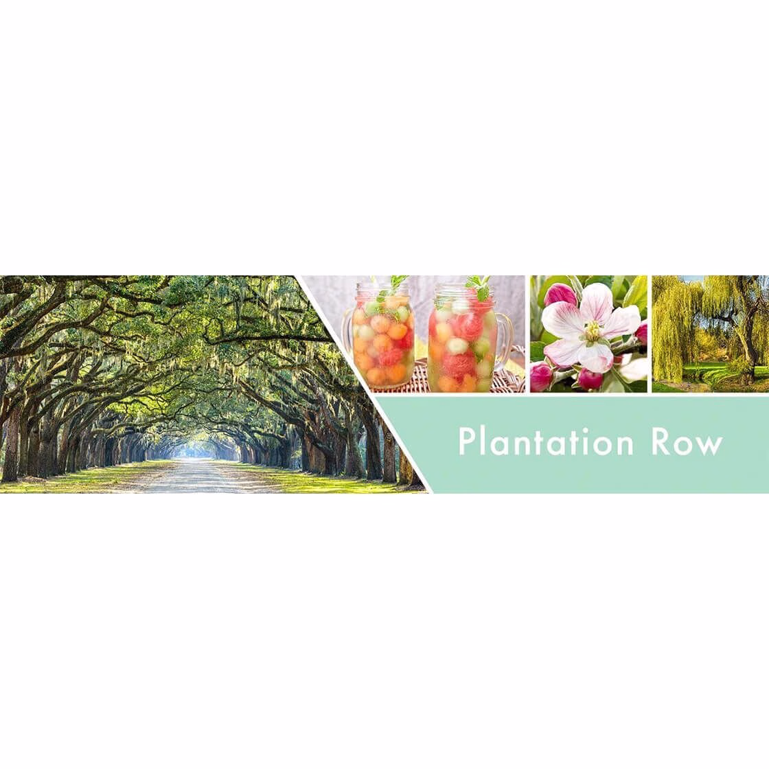 Plantation Row 680g