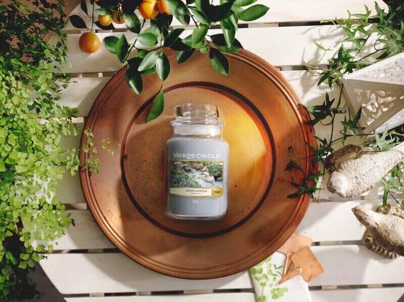Water-Garden-Flat-Lay Water Garden 623g