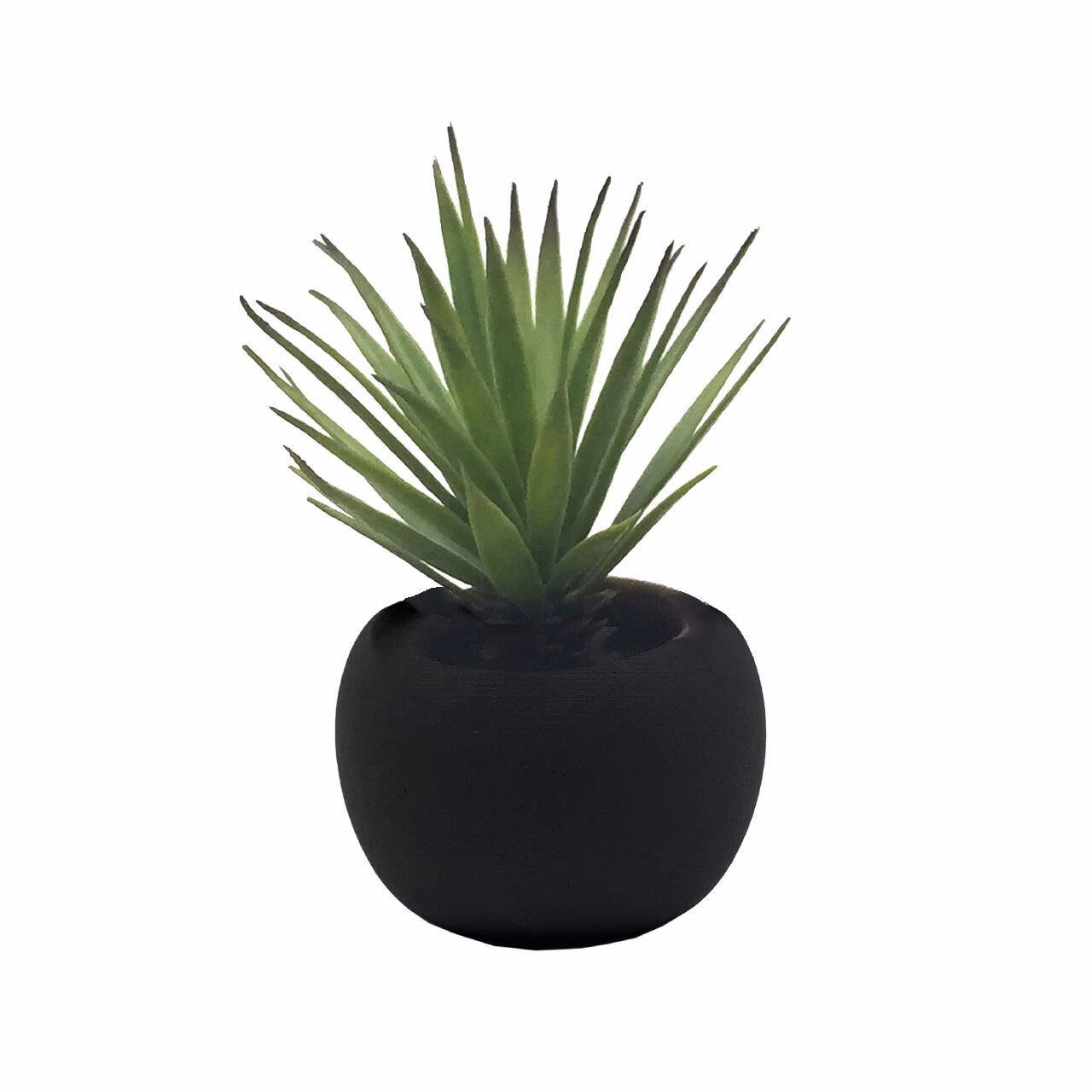 Deko Succulente 18cm Variante 1