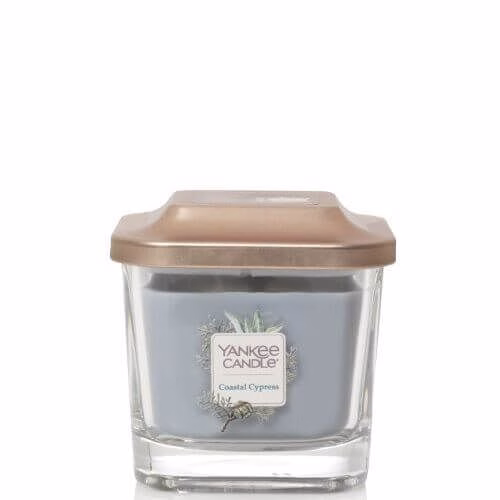 Yankee Candle - Coastal Cypress 96g