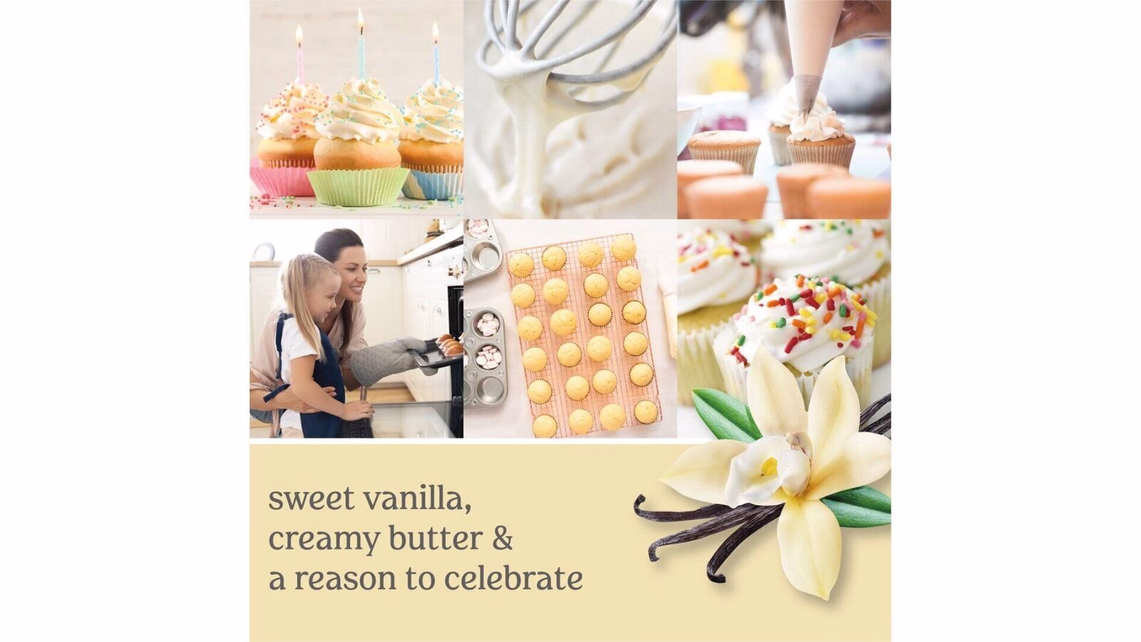 vanillacupcakeus1 Vanilla Cupcake 623g