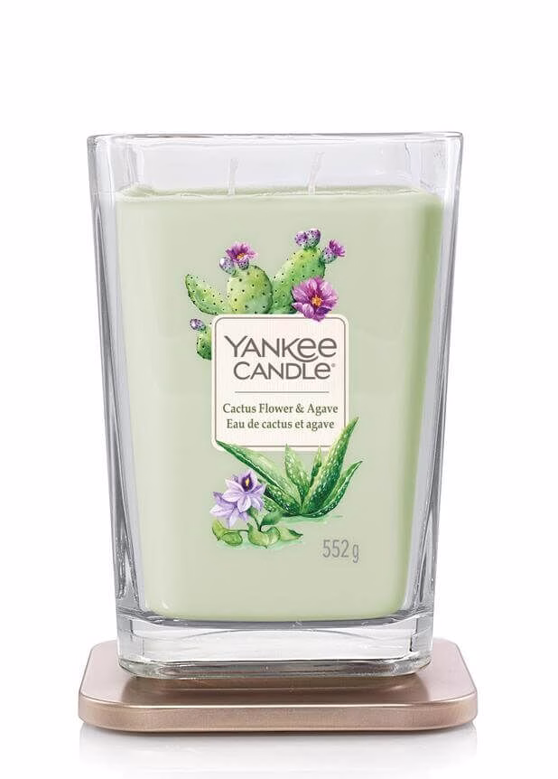 Cactus-Flower-Agave_Elevation-Large_No-Lid Cactus Flower & Agave 552g