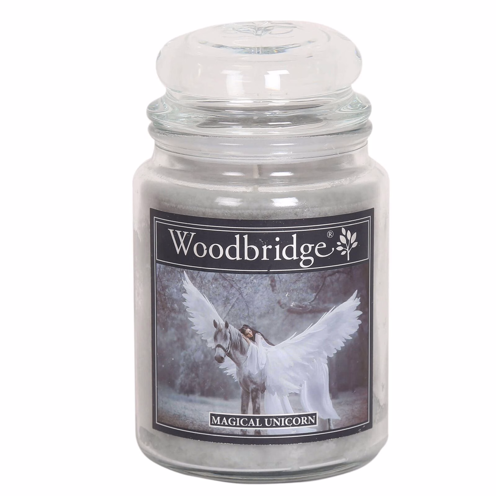 WLJ027 Magical Unicorn 565g