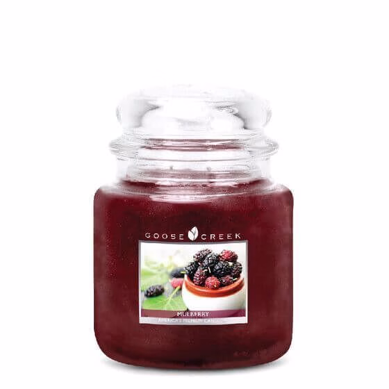 goose-creek-candlez-mulberry-2-docht-kerze-453gGtdEeJqAVbi4V Mulberry 453g