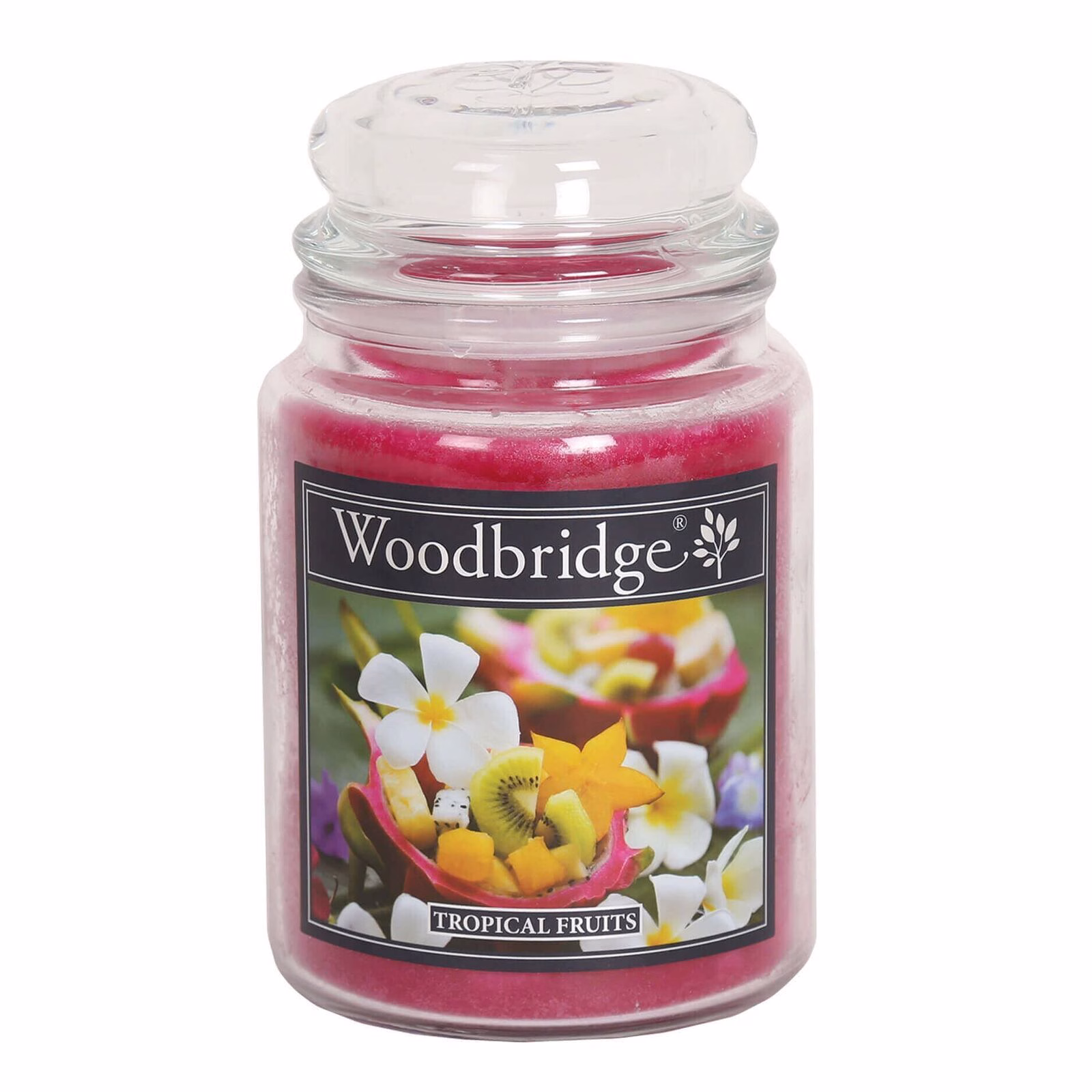WLJ008 Tropical Fruits 565g