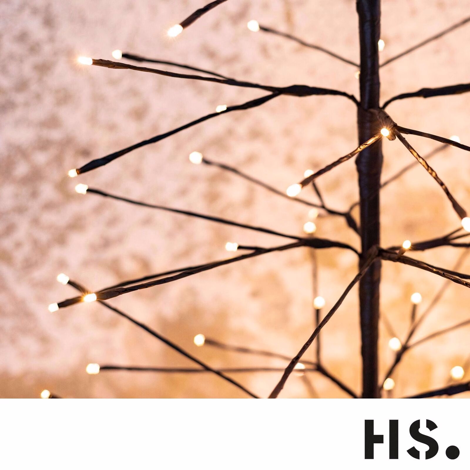 IL5CYxMw Dekobaum Yucca S LED