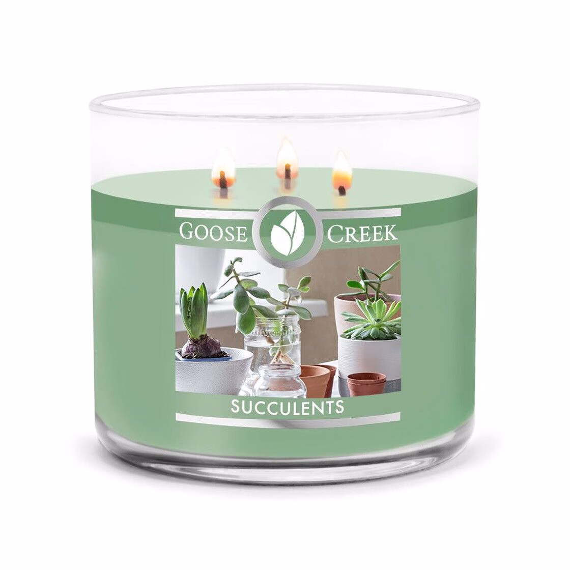 Succulents 411g (3-Docht)