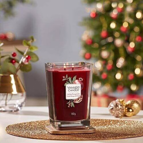 Holiday Pomegranate 552g