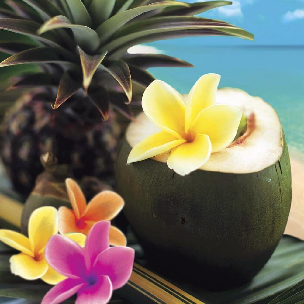 Village-Candle-Tropical-Getaway Village Candle Tropical Getaway