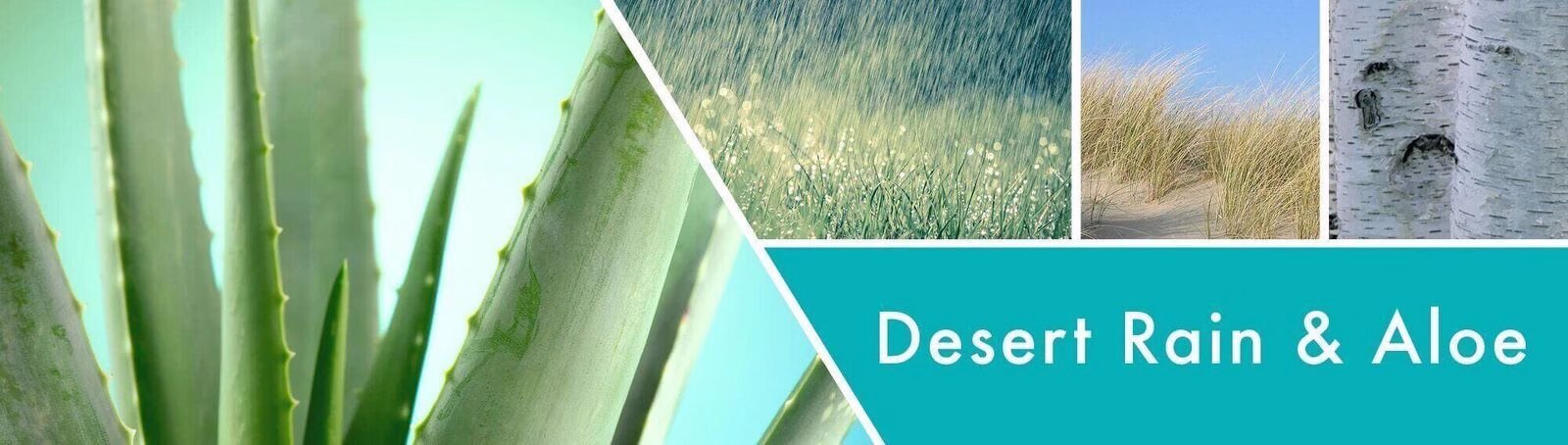 Desert Rain & Aloe 411g (3-Docht)