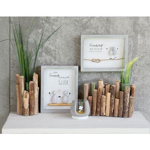 Holz, Pflanze, Baum