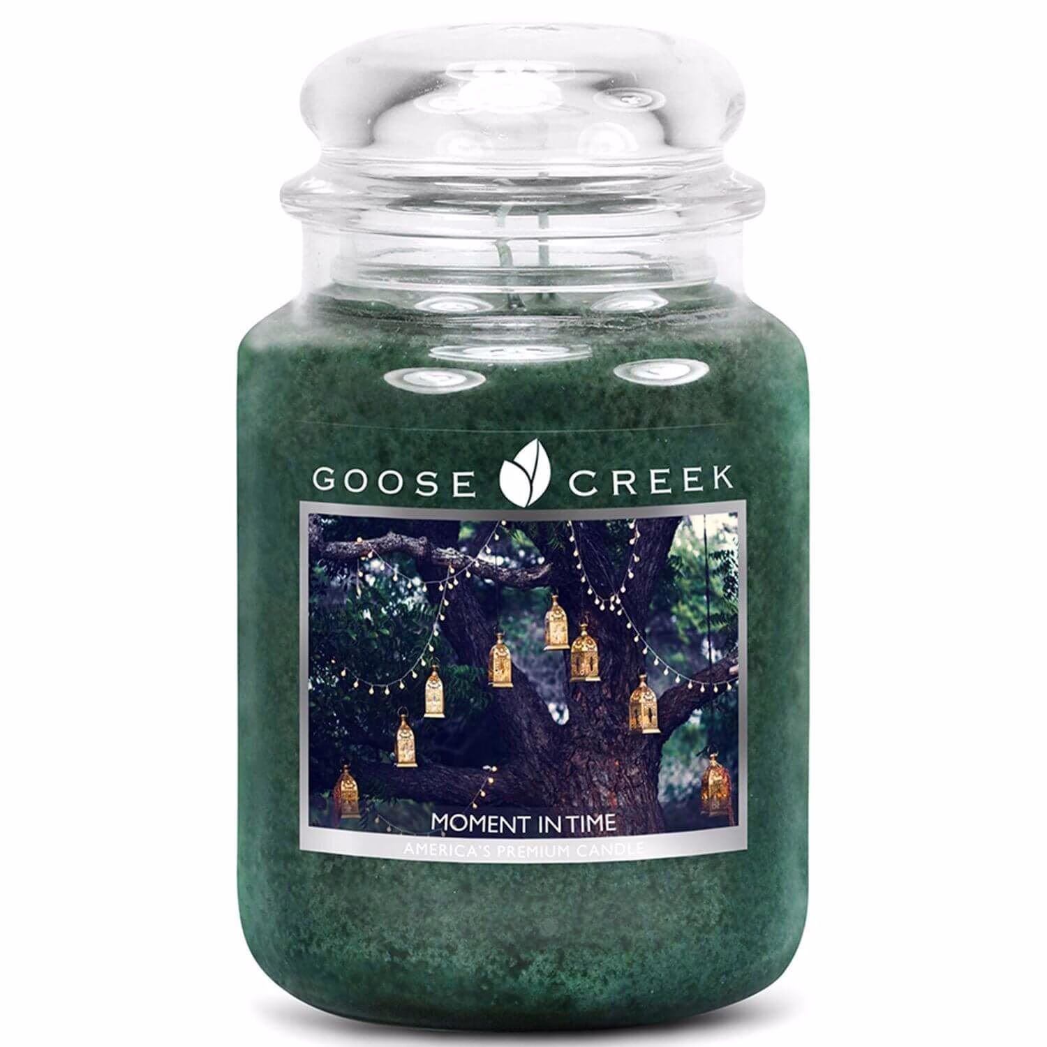 ES24603-Moment-in-Time Goose Creek Candle Frozen In Time 680g