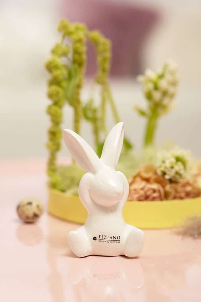 Tier, Säugetier, Hase