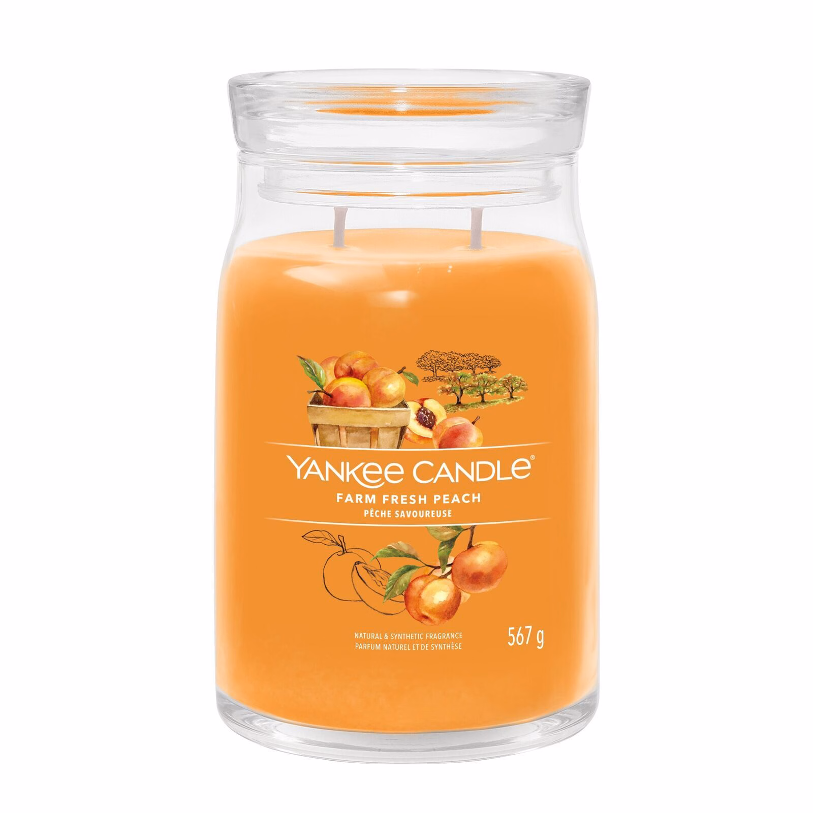 Fresh-Farm-Peach_jar1 Farm Fresh Peach Signature Large Jar 567g 2-Docht