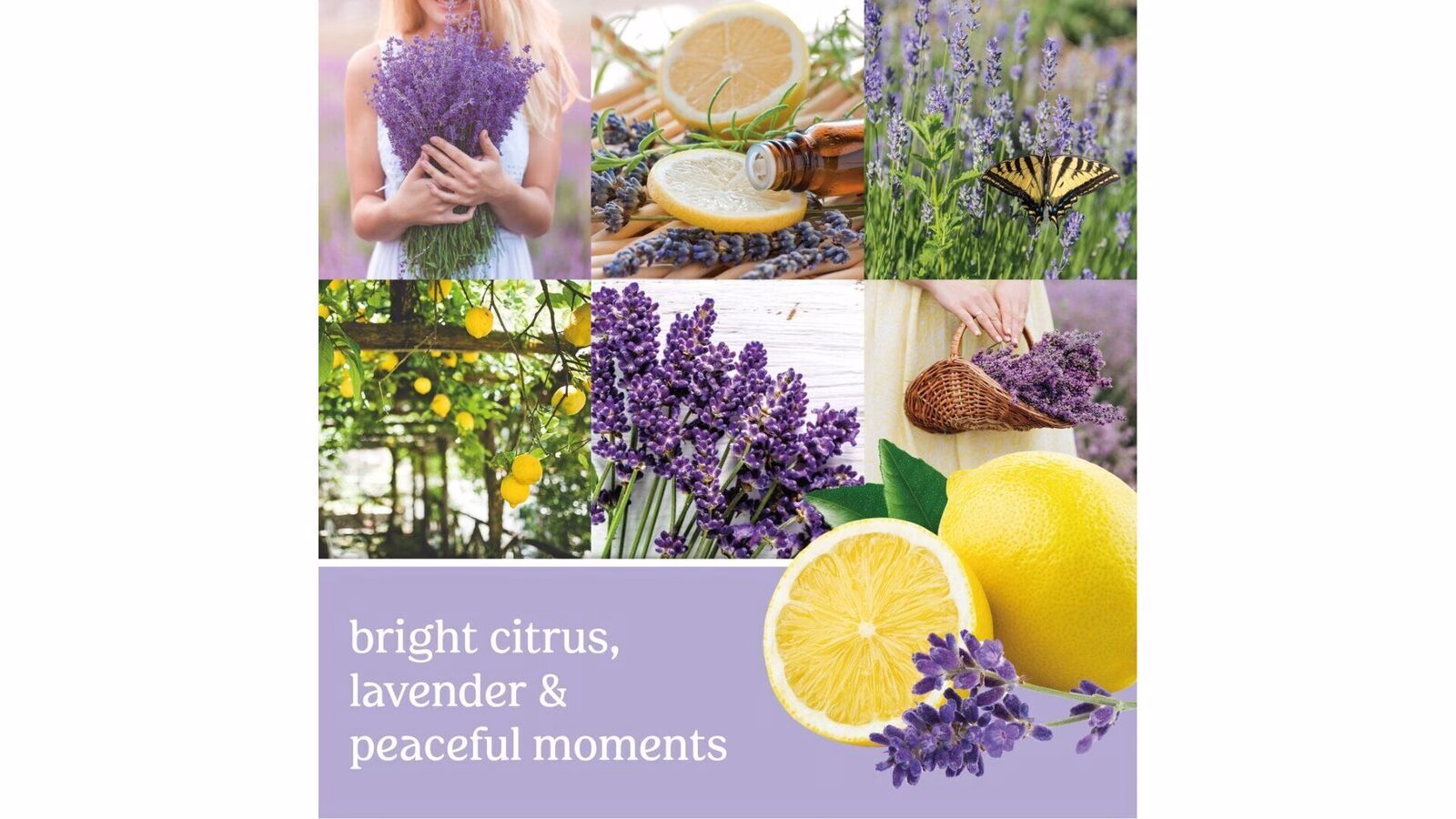 lemonlavus1 Lemon Lavender 623g