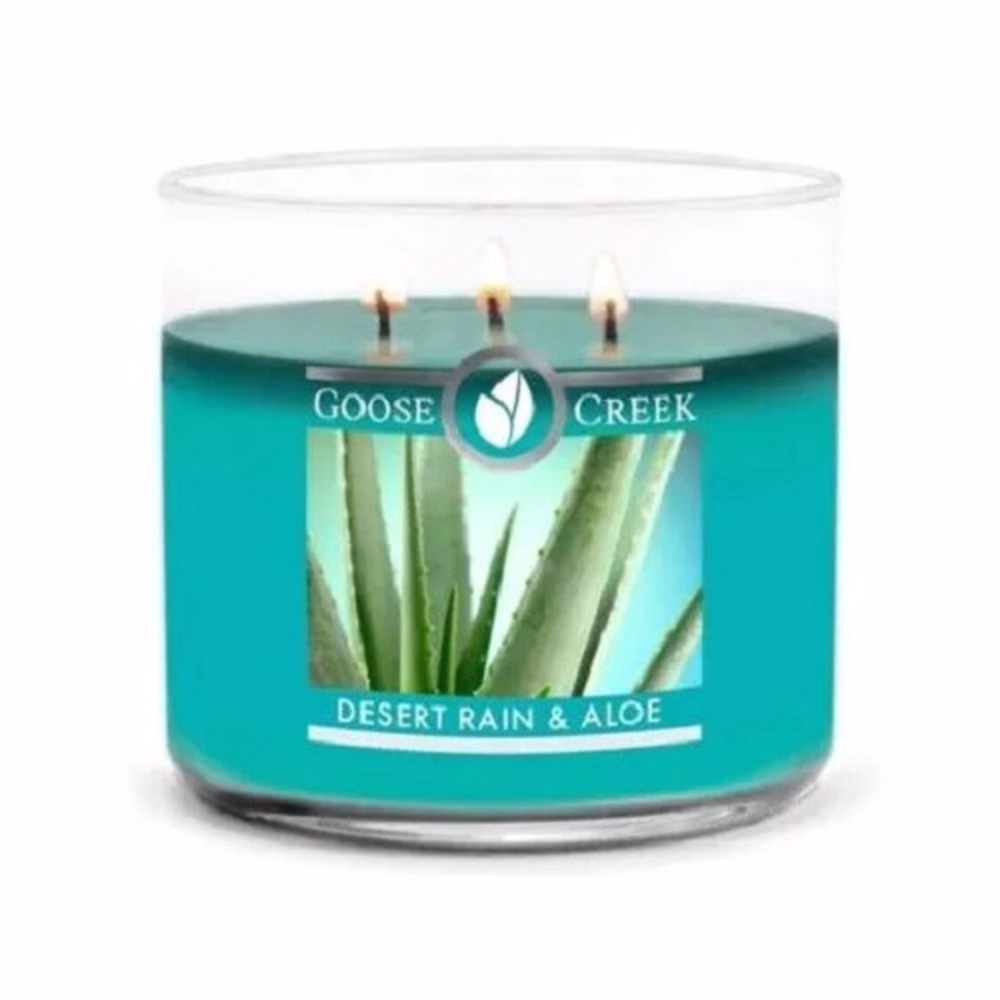 desert-rain-aloe-3-docht-kerze-411g Desert Rain & Aloe 411g (3-Docht)