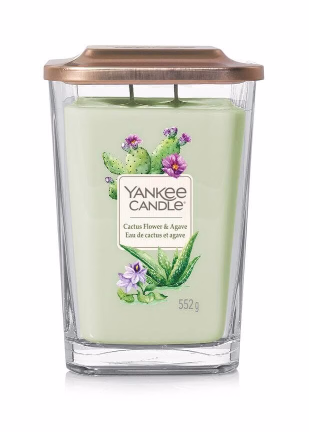 Cactus Flower & Agave 552g