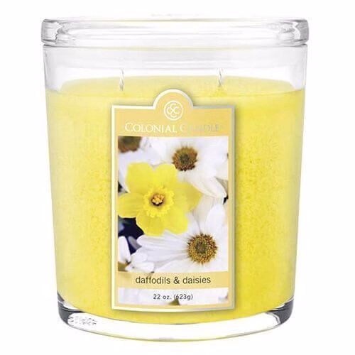 cc022-30825594ffc534fd4 Colonial Candle Daffodils & Daisies 623g