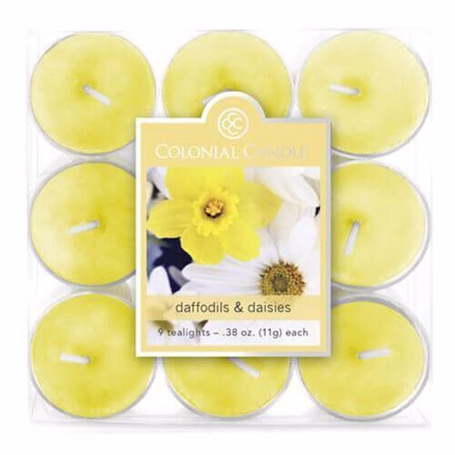 cc0109-30825594ffd5bdc8f Colonial Candle Daffodils & Daisies 9 Teelichte