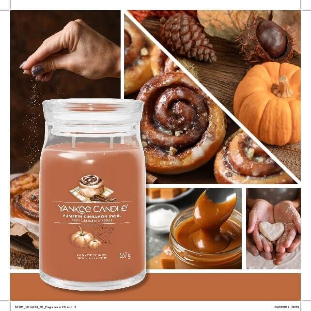 Pumpkin Cinnamon Swirl 22g Wachsmelt Baby, Person