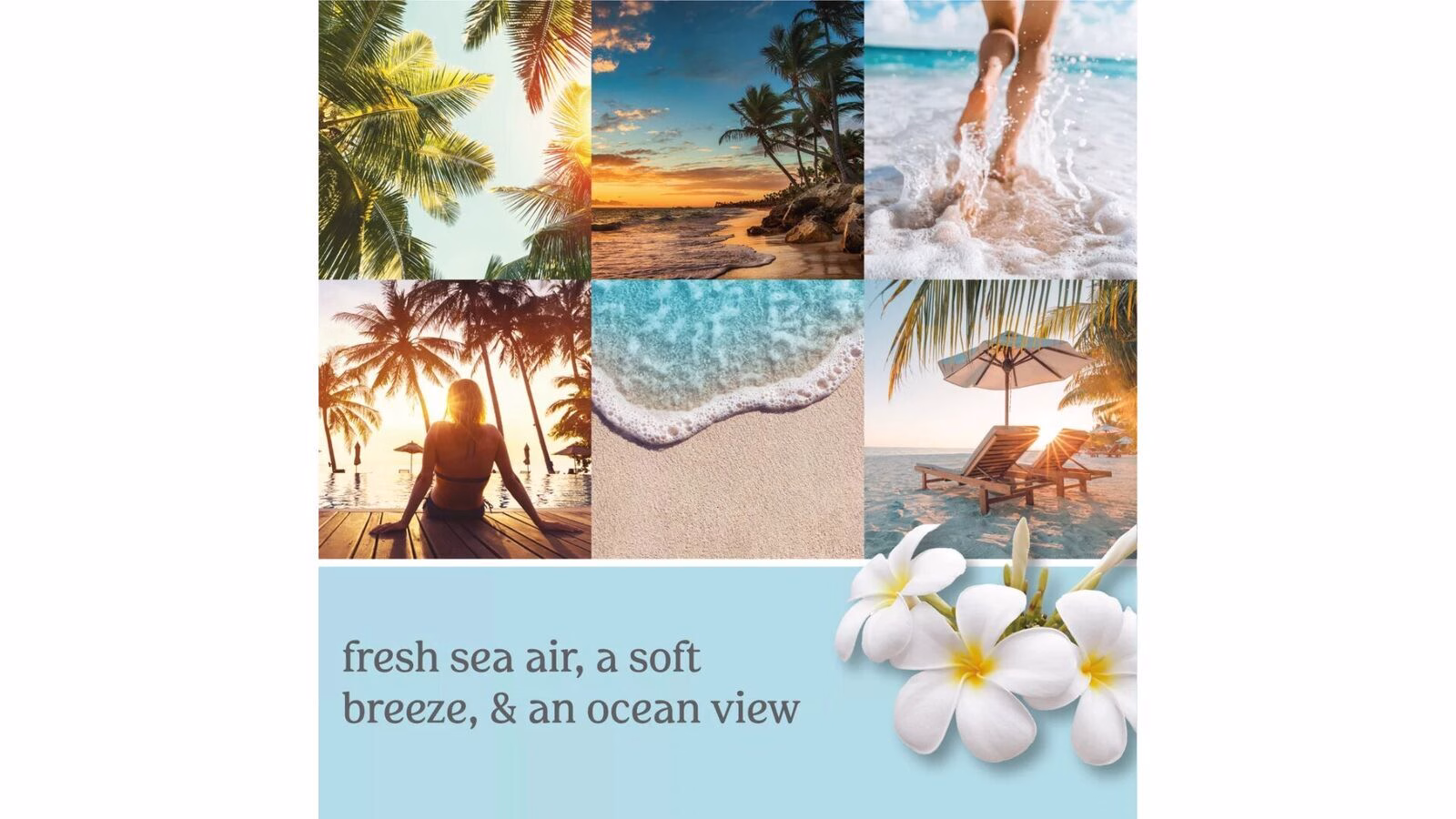 bescape2 Beach Escape 623g