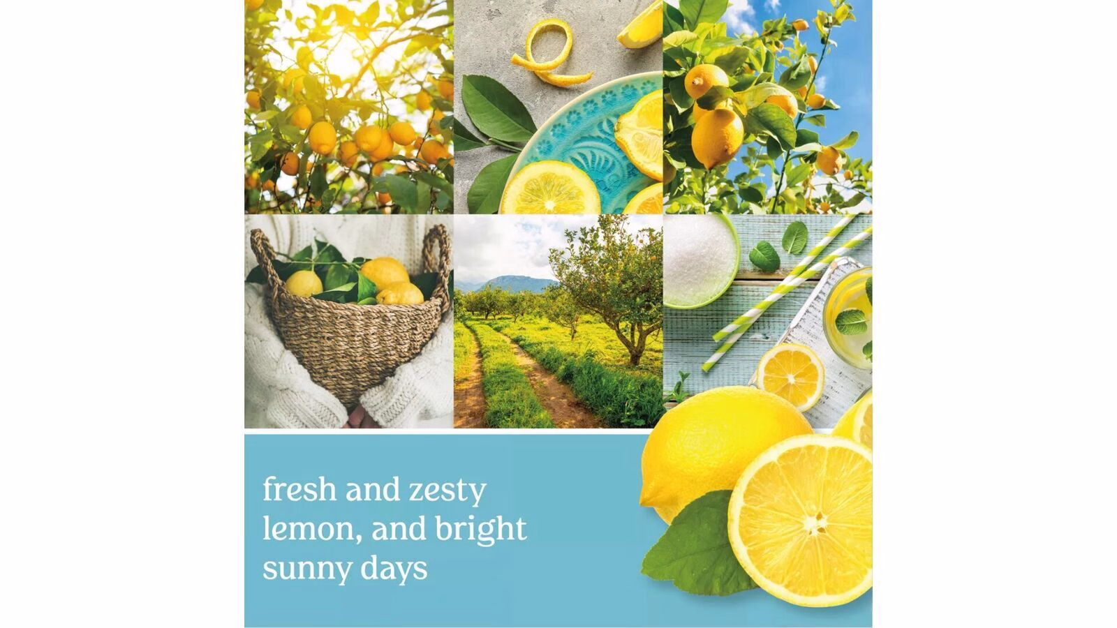 silem2 Sicilian Lemon 623g