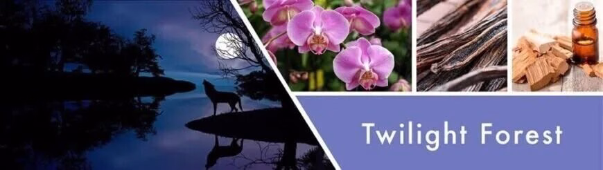 Twilight Forest 411g (3-Docht)