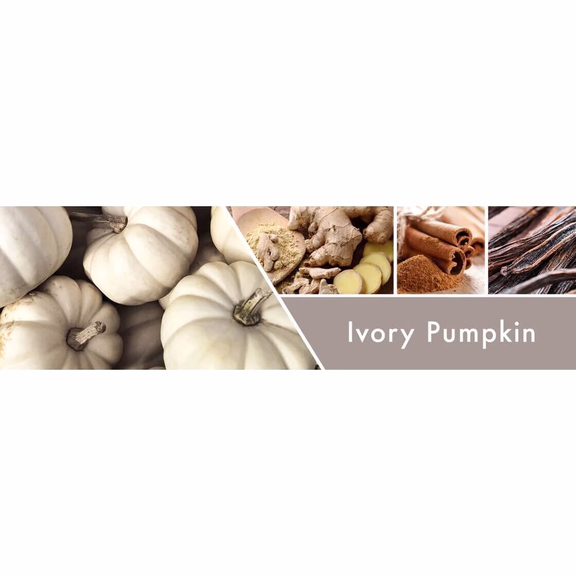 ivory-pumpkin-3-docht-kerze-411g-2hAQZ7bwsXuc1n Ivory Pumpkin 453g