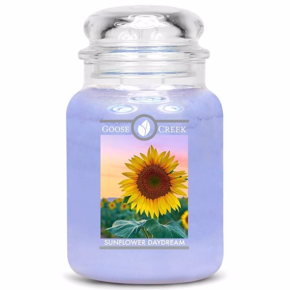 Sunflower Daydream 680g von Goose Creek Candle