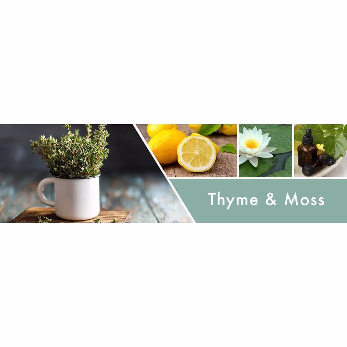 Thyme & Moss 411g (3-Docht)