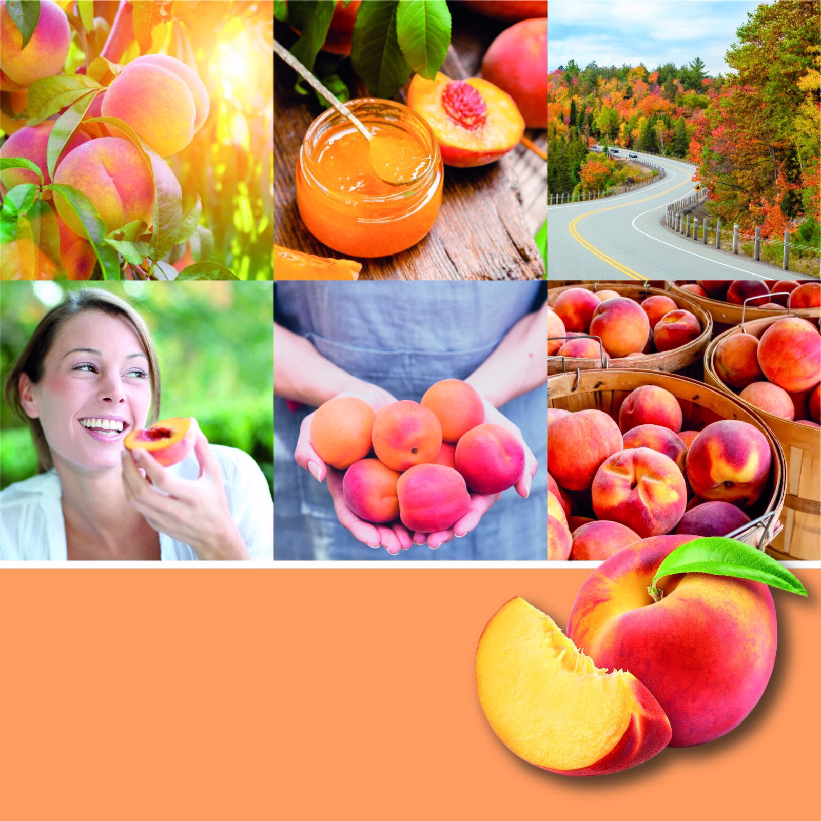 Farm Fresh Peach 37g