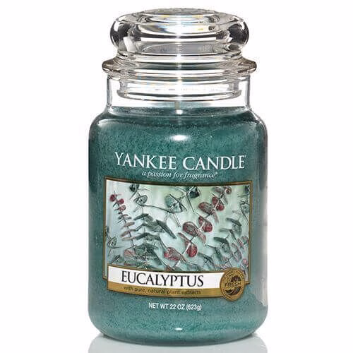 11511E Eucalyptus 623g USA Version