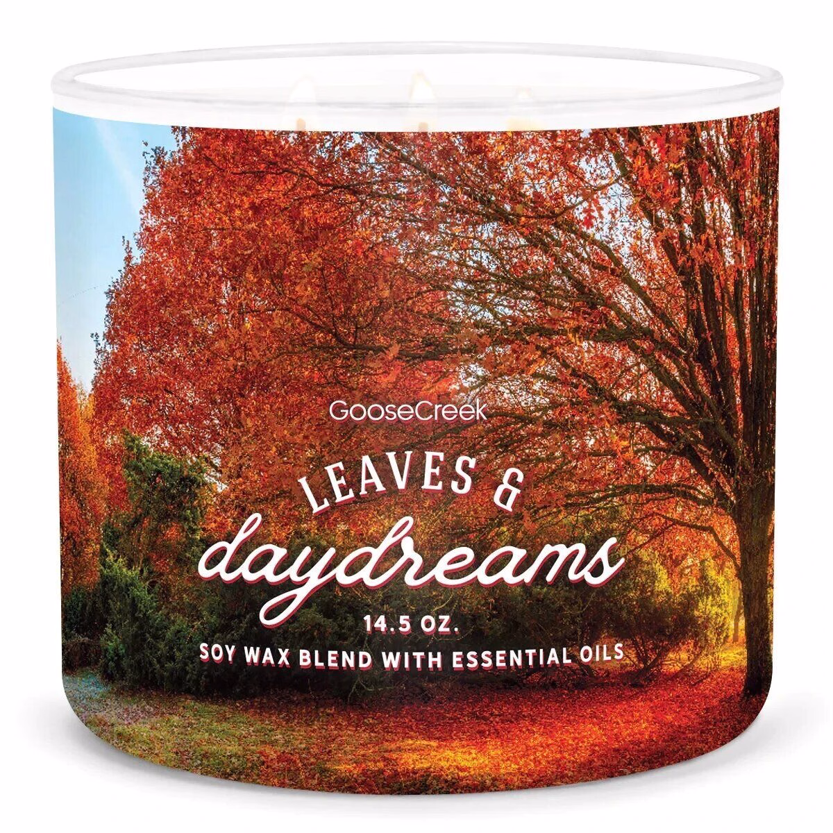 Leaves & Daydreams 411g (3-Docht)