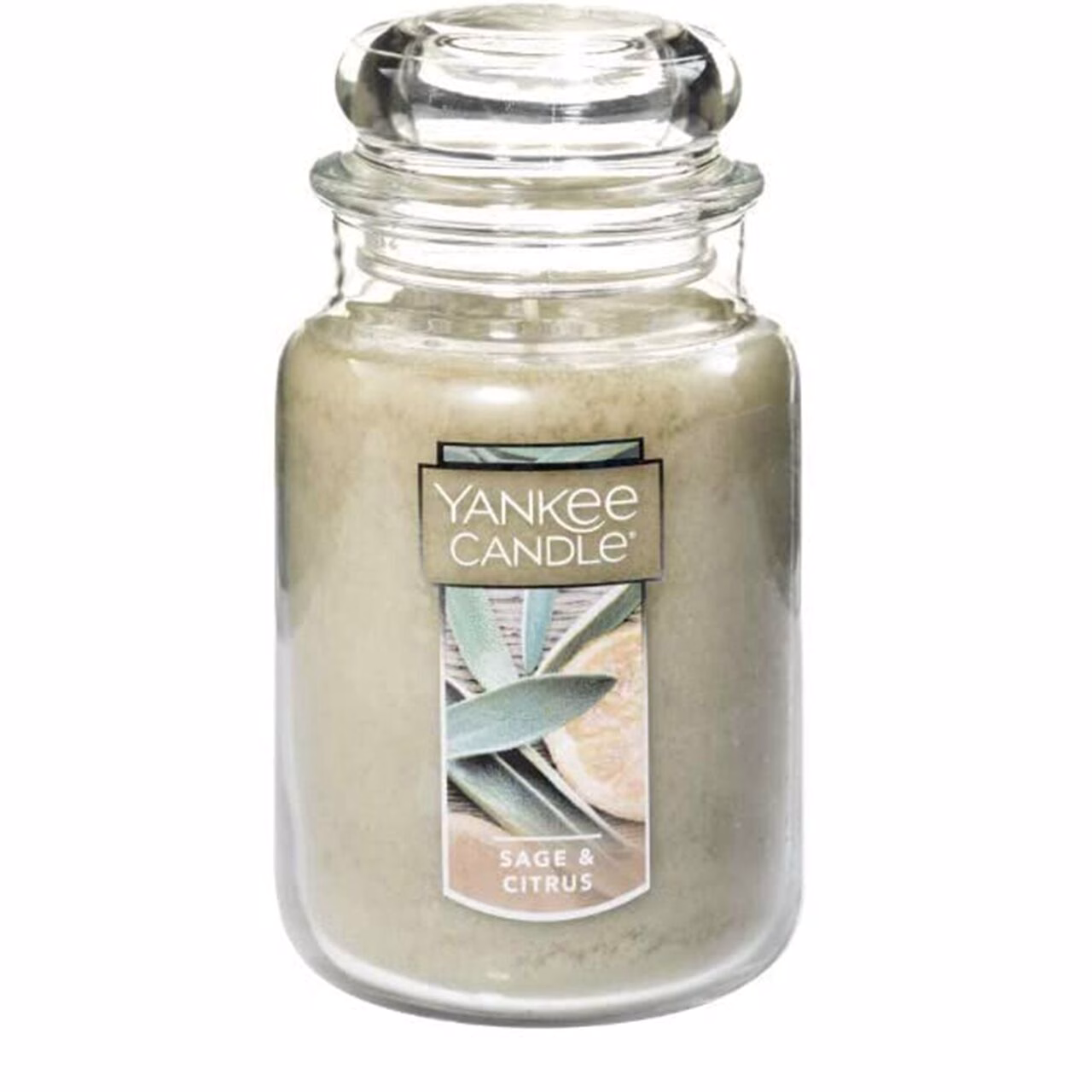 sagecitrusus1 Sage & Citrus 623g