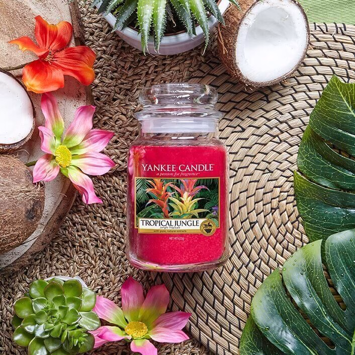 Just-Go-_Tropical-Jungle_Social Tropical Jungle 623g