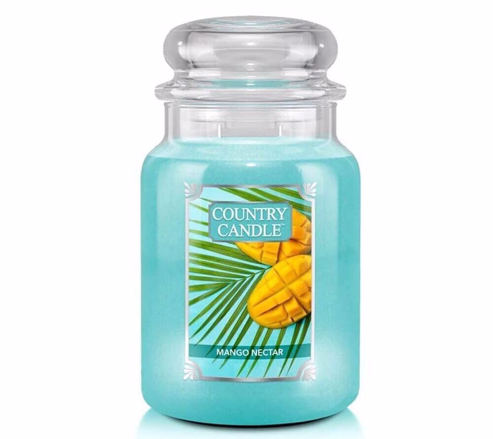 Mango Nectar 680g