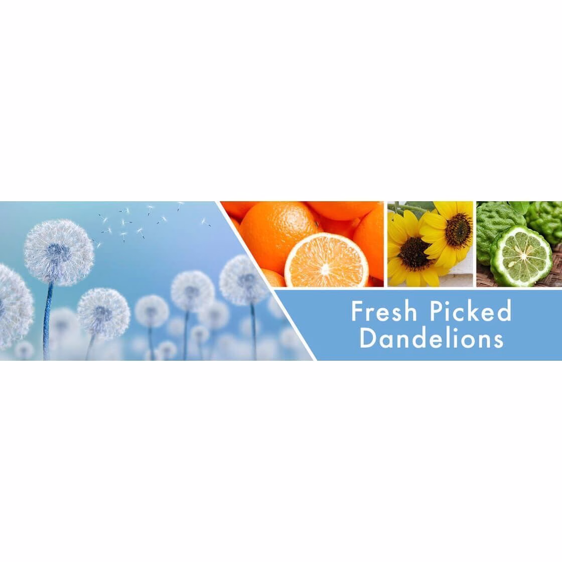 Fresh Picked Dandelions 411g (3-Docht)