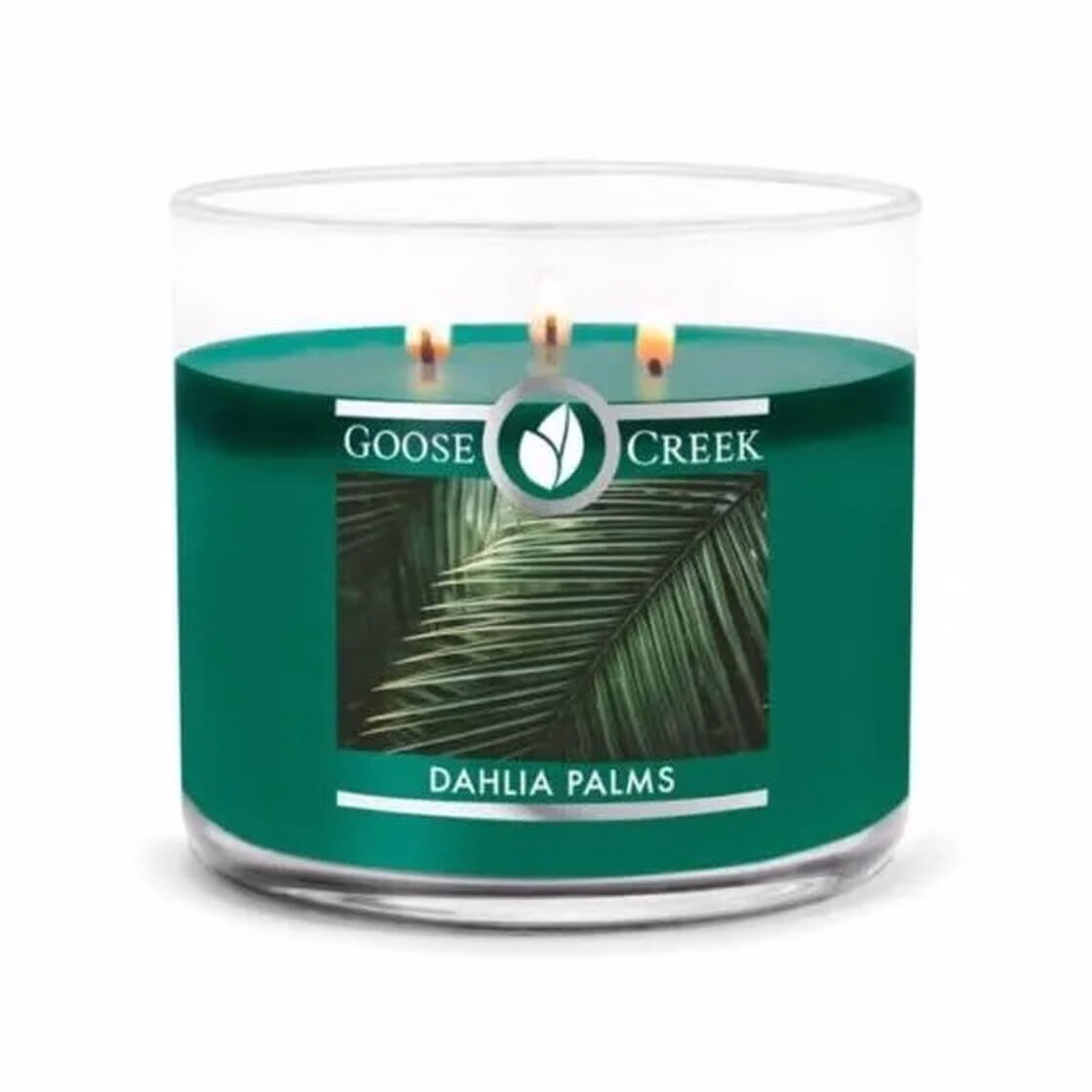 Dahlia Palms 411g