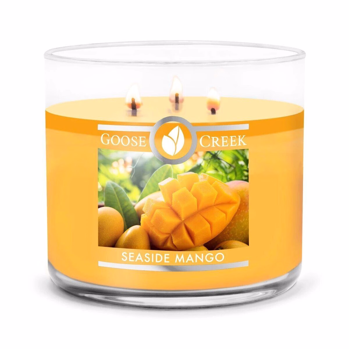 seaside-mango-3-docht-kerze-411g Seaside Mango 411g (3-Docht)