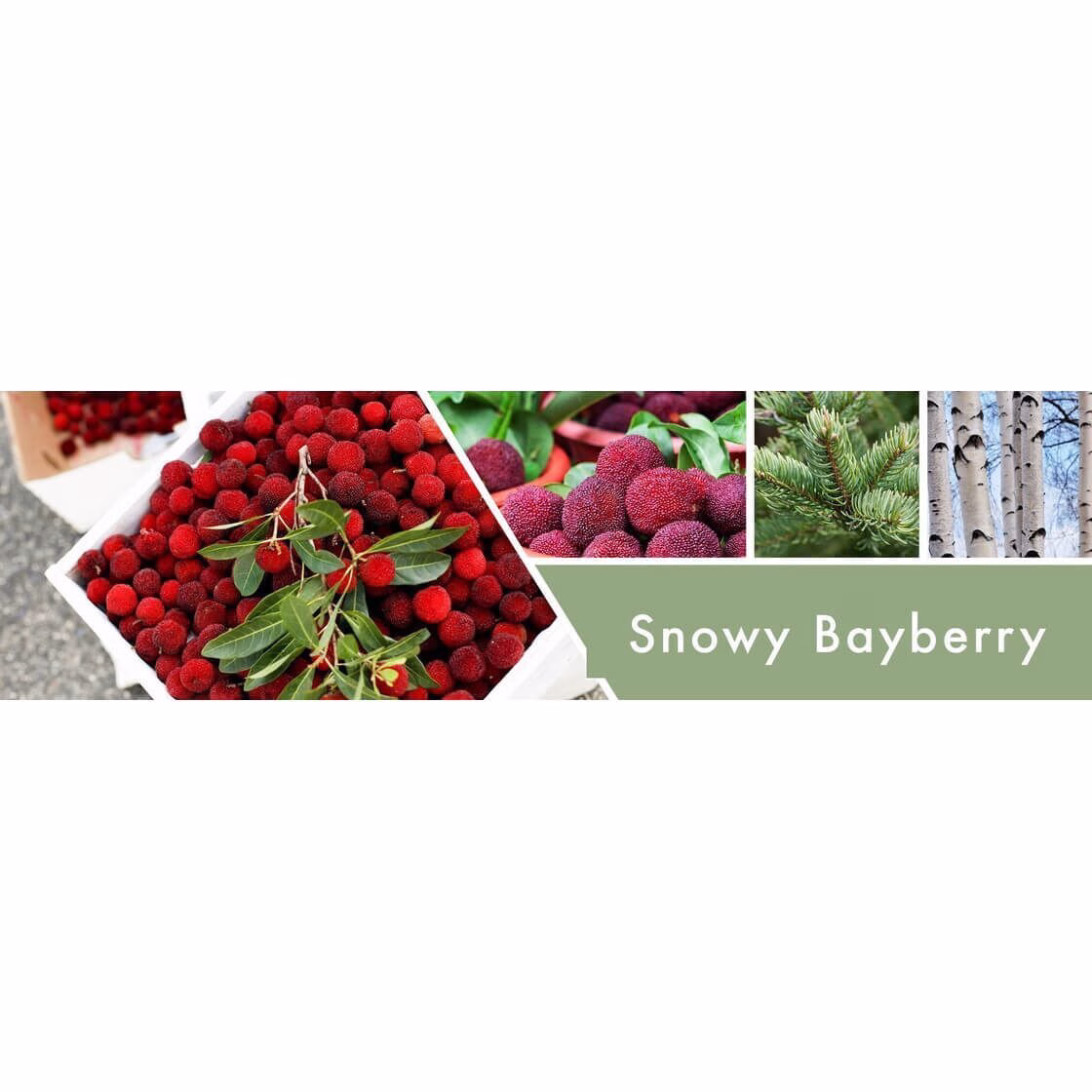 Snowy Bayberry 411g (3-Docht)