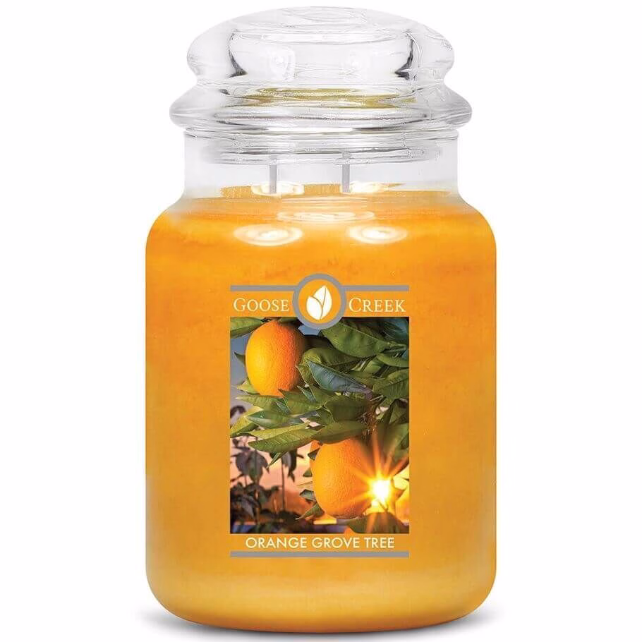 goose-creek-orange-grove-tree Goose Creek Orange Grove Tree 680g Jar