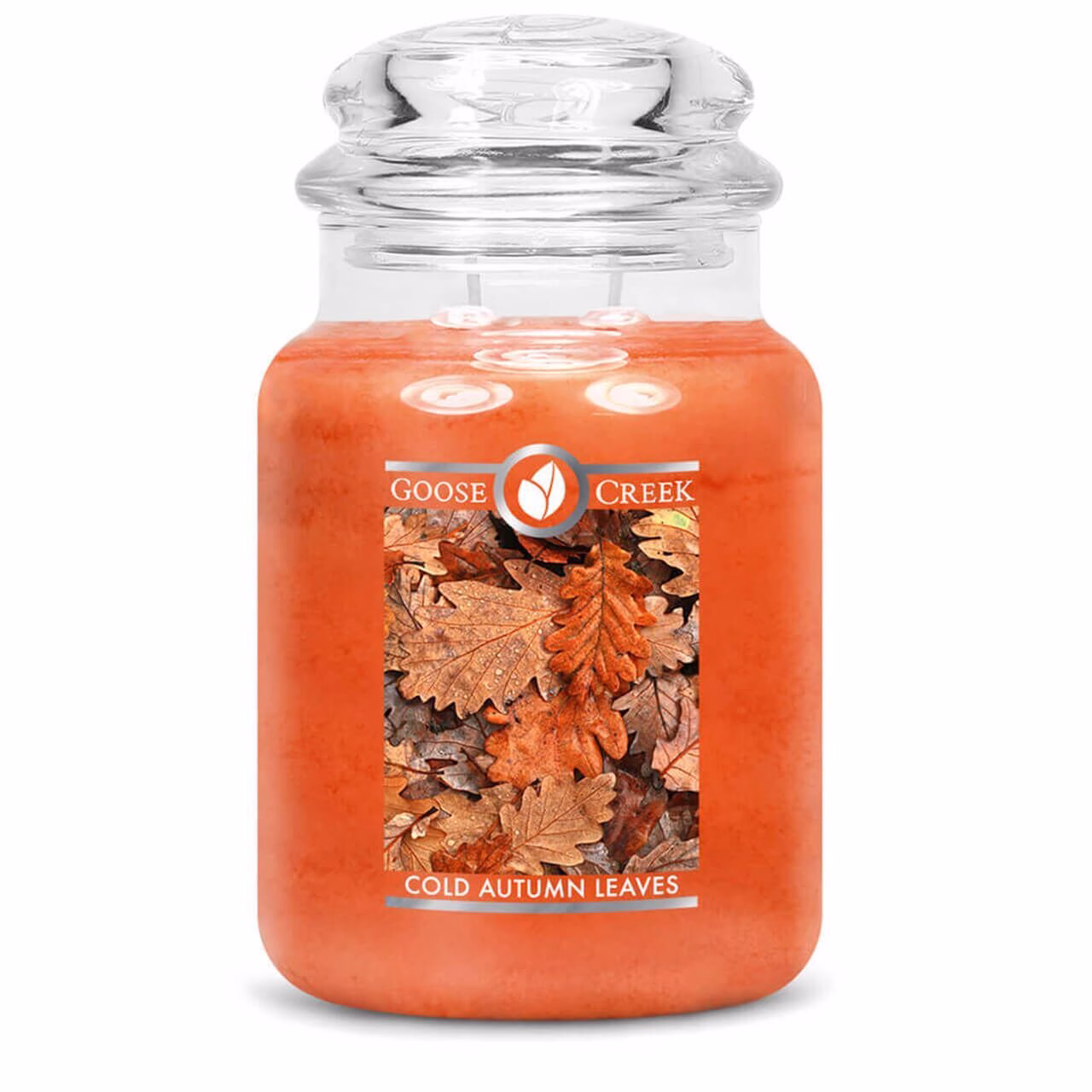 cold-autumn-leaves-680 Cold Autumn Leaves 680g