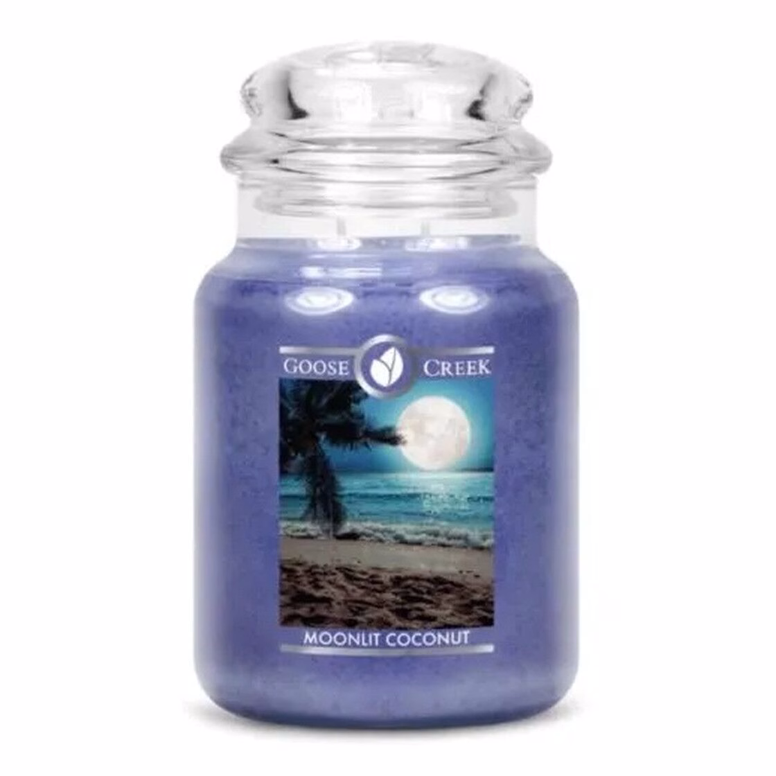 moonlit-coconut-2-docht-kerze-680g Moonlit Coconut 680g