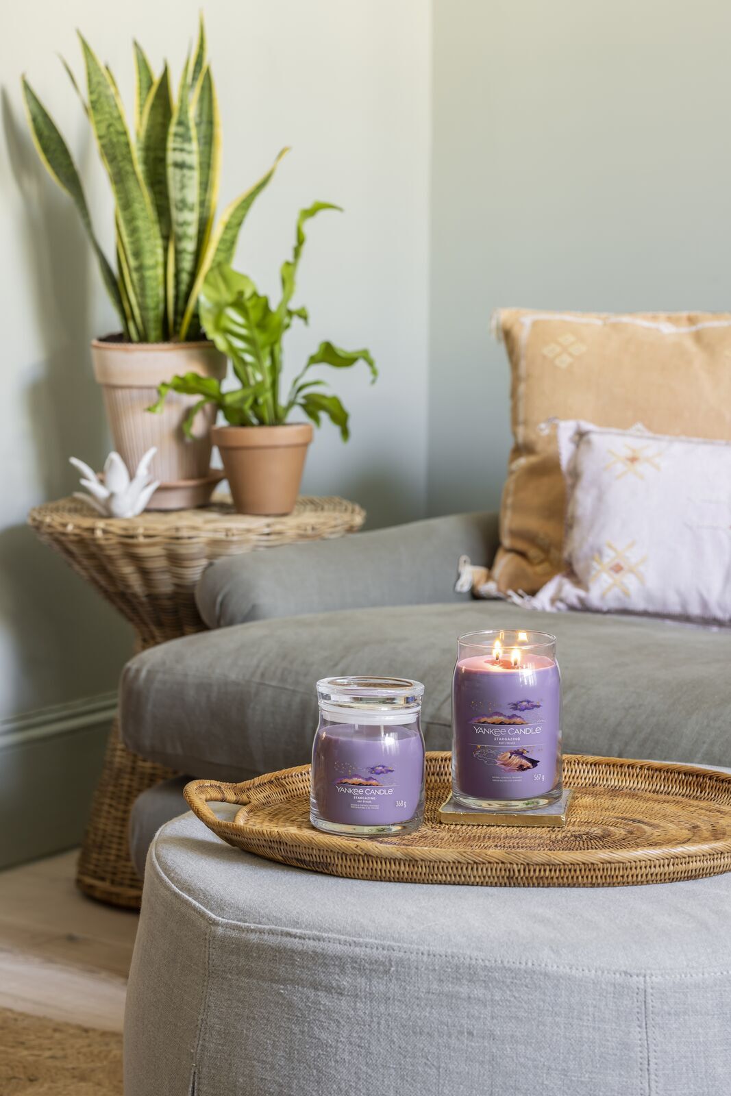 STARGAZING_GROUP_030 Stargazing Signature Medium Jar 368g 2-Docht