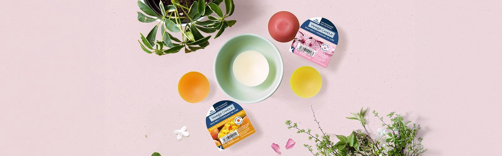 duftwachs-kaufen Werbung, Pflanze, Kräuterig, Kräuter