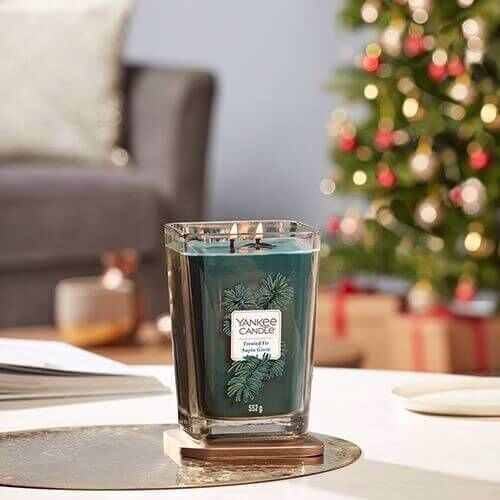 Elevation-Collection_Q4_Frosted-Fir_Lrg_Portrait Frosted Fir 552g