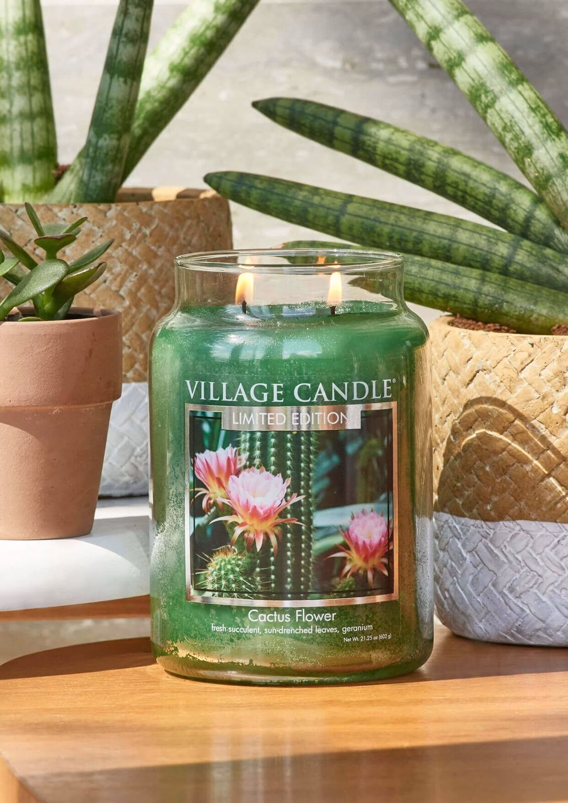 Village Candle Cactus Flower Lifestyle