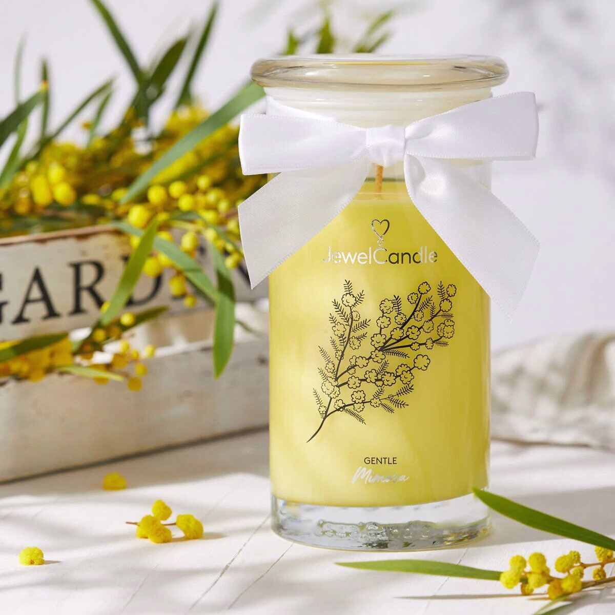 Gentile Mimosa (Ohrringe) 400g